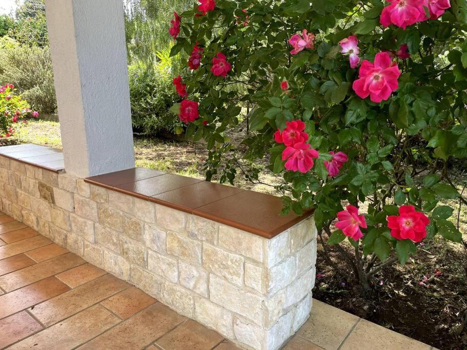 Rose Country Villa Cassano delle Murge Exterior foto